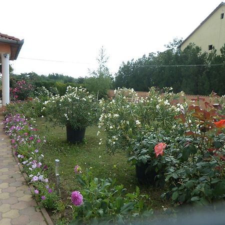 Liget Panzió Nyirbogdany Exterior foto